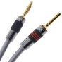 QED XT40i Speaker Cable - Custom Length