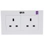Quantum Science Audio Violet Mid-Level Double-Socket Wall Plate