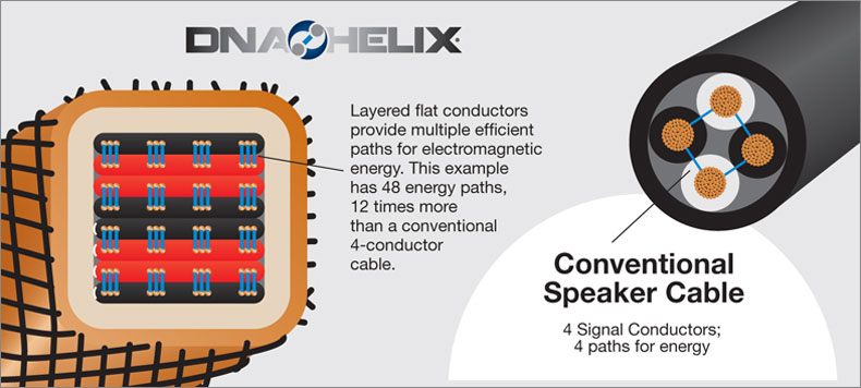 Wireworld Speaker Conductor Design Graphic